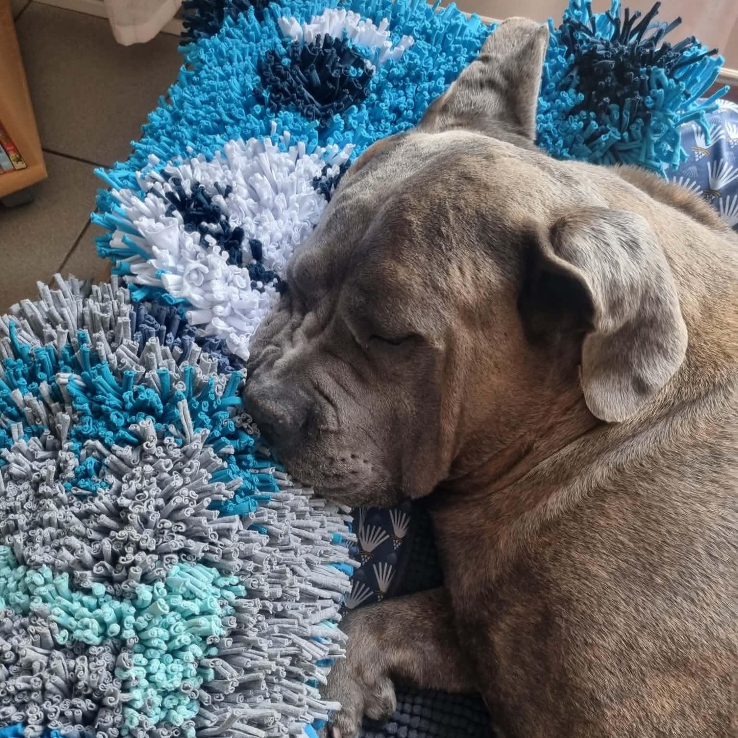 Tapis Paw'Venture - Os