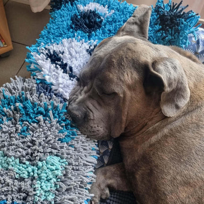 Tapis Paw'Venture - Os