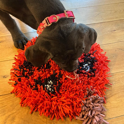 Tapis Paw'Venture - Pumpkin
