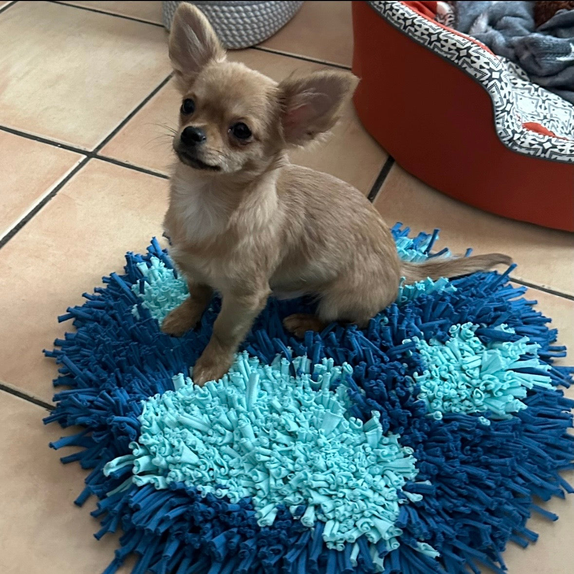 Tapis Paw'Venture - Empreinte